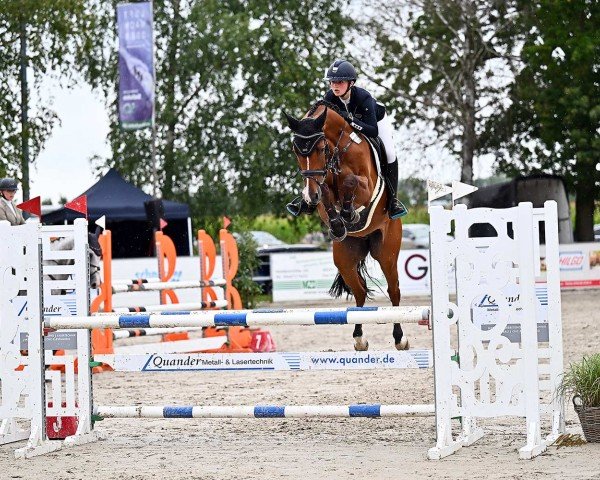 jumper Call Me Accord (anglo european sporthorse, 2018, from Call me Pezi)