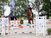 jumper Call Me Accord (anglo european sporthorse, 2018, from Call me Pezi)