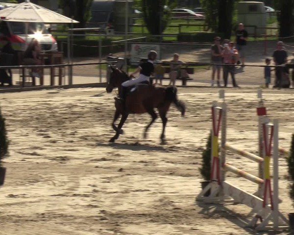 Reitturnier Hamm-Rhynern 2024