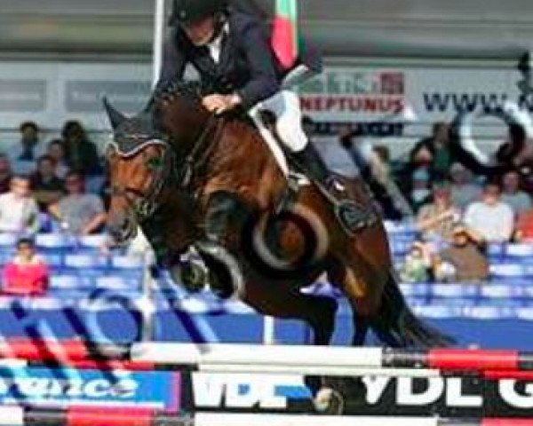 stallion Bordeaux VDL (KWPN (Royal Dutch Sporthorse), 2001, from Baloubet du Rouet)
