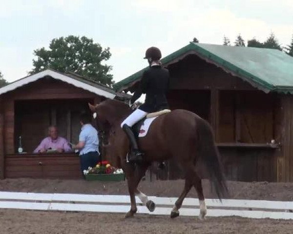 Weser Ems Meisterschaften Cloppenburg 2012