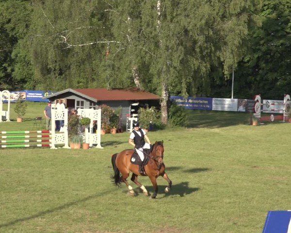 Reitturnier Scharnebeck 2024