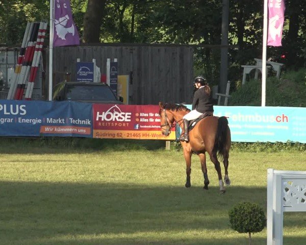 Reitturnier Scharnebeck 2024