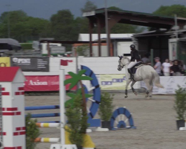 Reitturnier Giubiasco 2024