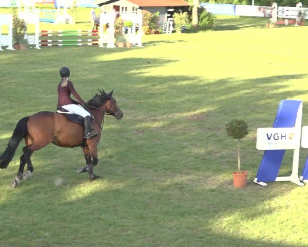 Reitturnier Scharnebeck 2024