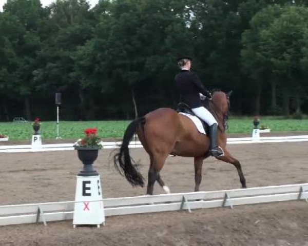 Weser Ems Meisterschaften Cloppenburg 2012