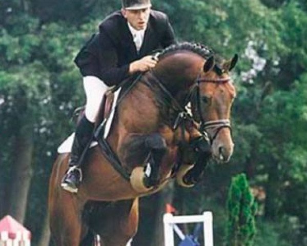stallion Lancado (Oldenburg, 1995, from Landadel)