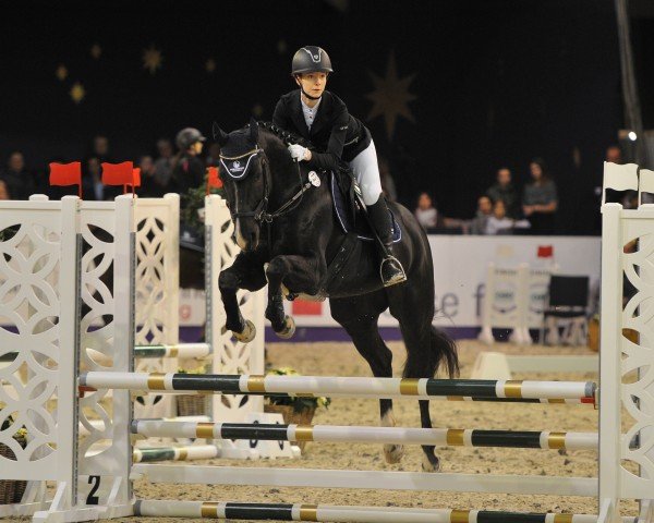 jumper Ronja D (Hanoverian, 2006, from Rotspon)