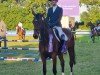 jumper Ischia 4 (German Sport Horse, 2014, from Icare d'Olympe AA)