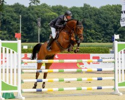 jumper Crack Blue (Oldenburg show jumper, 2011, from Conthargos)