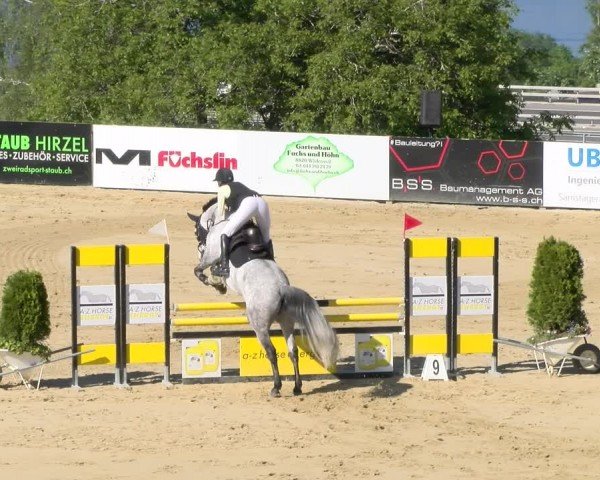 Reitturnier Wädenswil 2024