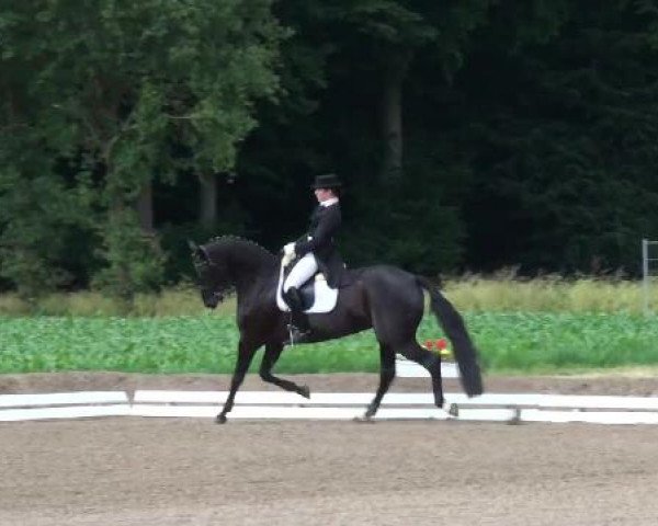 Weser Ems Meisterschaften Cloppenburg 2012