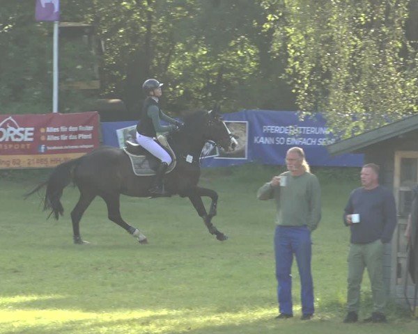 Reitturnier Scharnebeck 2024