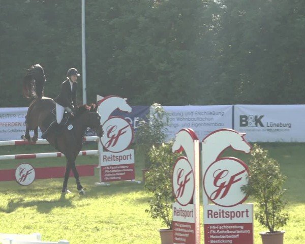Reitturnier Scharnebeck 2024