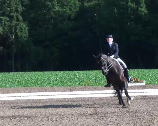 Weser Ems Meisterschaften Cloppenburg 2012