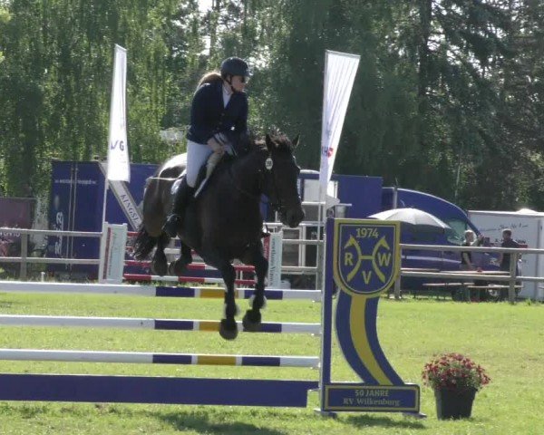 Reitturnier Wilkenburg 2024
