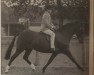 broodmare Peveril Petrina II (New Forest Pony, 1977, from Priory Sunbeam)