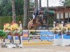 jumper Toujolow (Hanoverian, 2016, from Toulon)