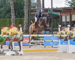 jumper Toujolow (Hanoverian, 2016, from Toulon)