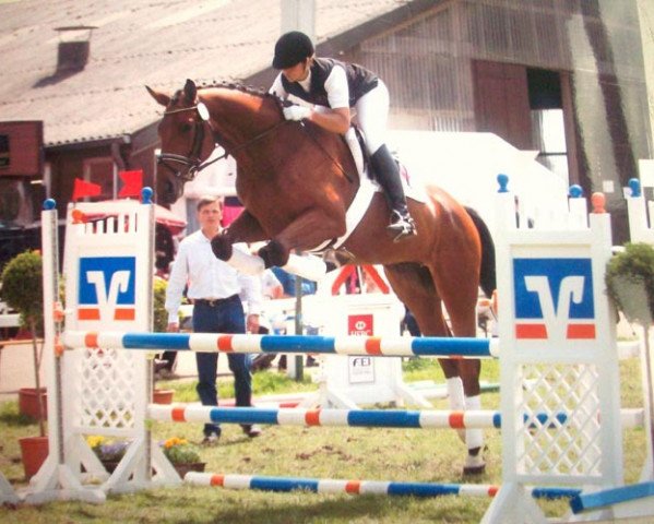 jumper Francesko 11 (Trakehner, 2007, from Heops)