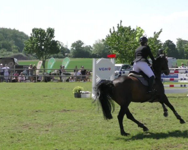 Reitturnier Wilkenburg 2024