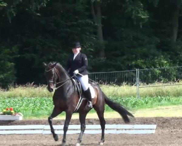 Weser Ems Meisterschaften Cloppenburg 2012