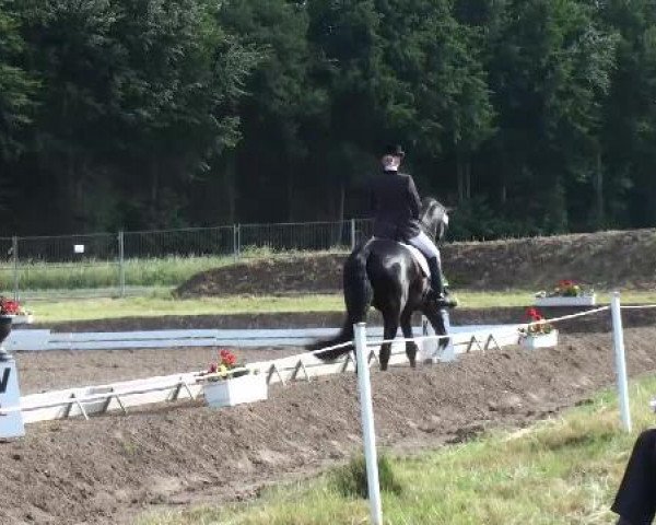 Weser Ems Meisterschaften Cloppenburg 2012