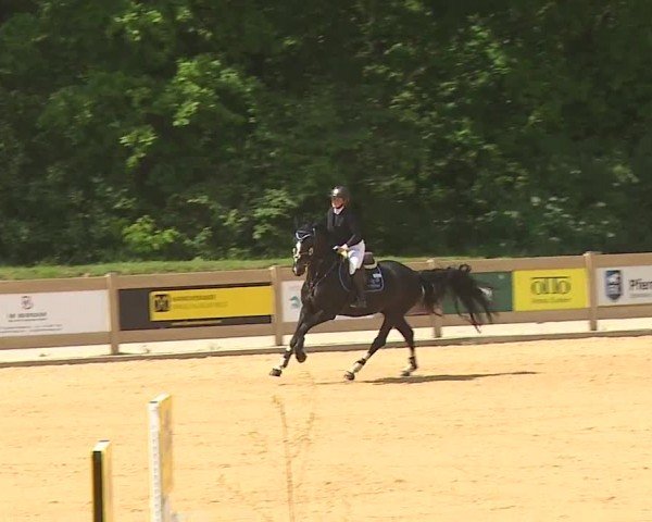 Reitturnier Tiefenhof/Opf. 2024