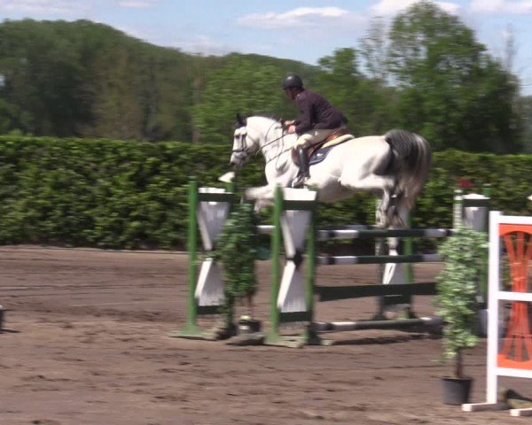 Reitturnier Lentzke - Reitanlage Krehl 2024