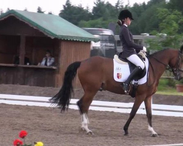 Weser Ems Meisterschaften Cloppenburg 2012