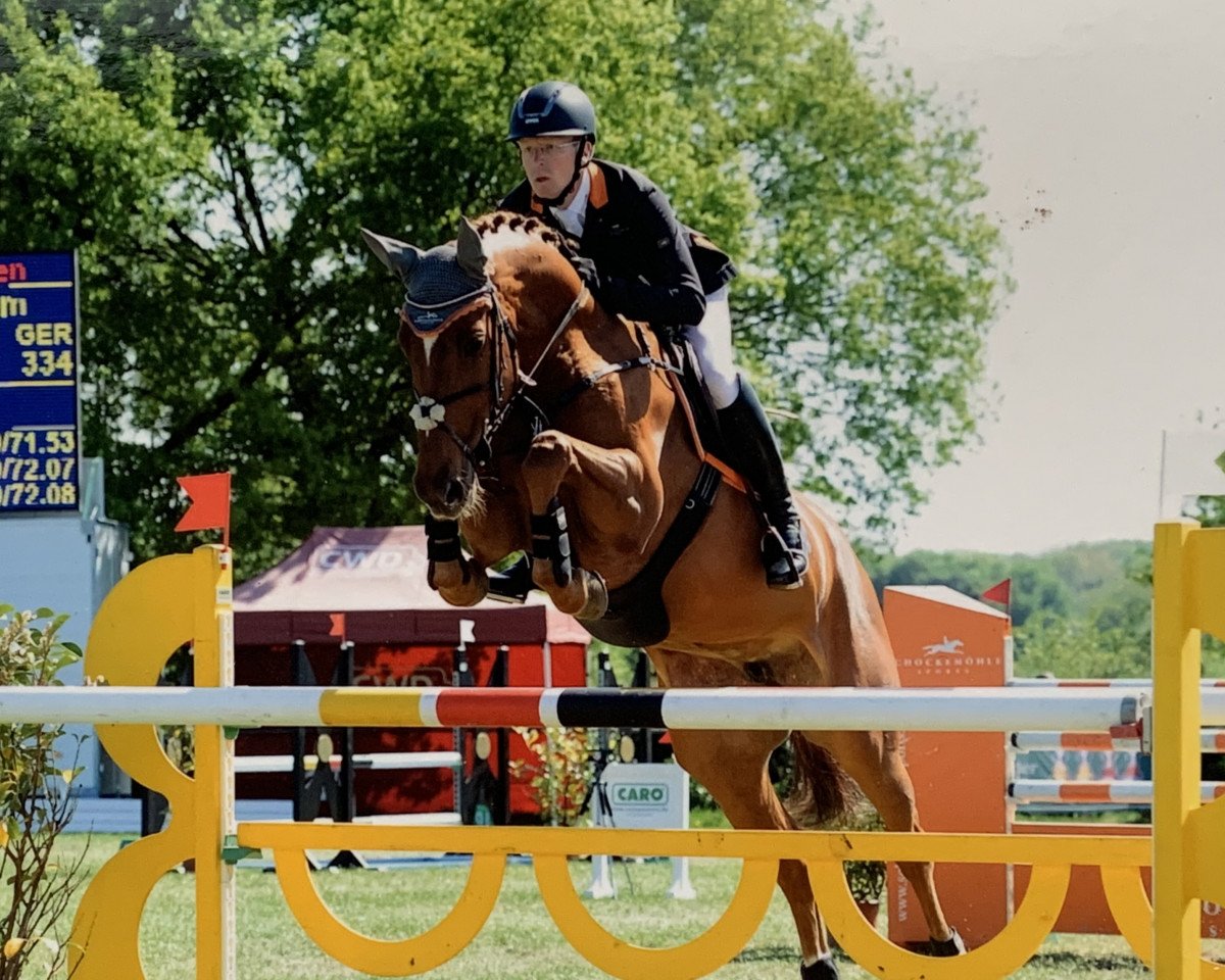 broodmare Chayenne 283 (Oldenburg show jumper, 2006, from Chacco-Blue)