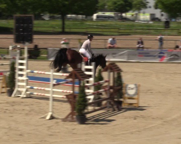 Reitturnier Hamm-Rhynern 2024