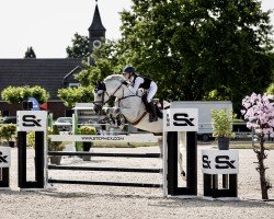 stallion Colestros (German Sport Horse, 2010, from Colestus)