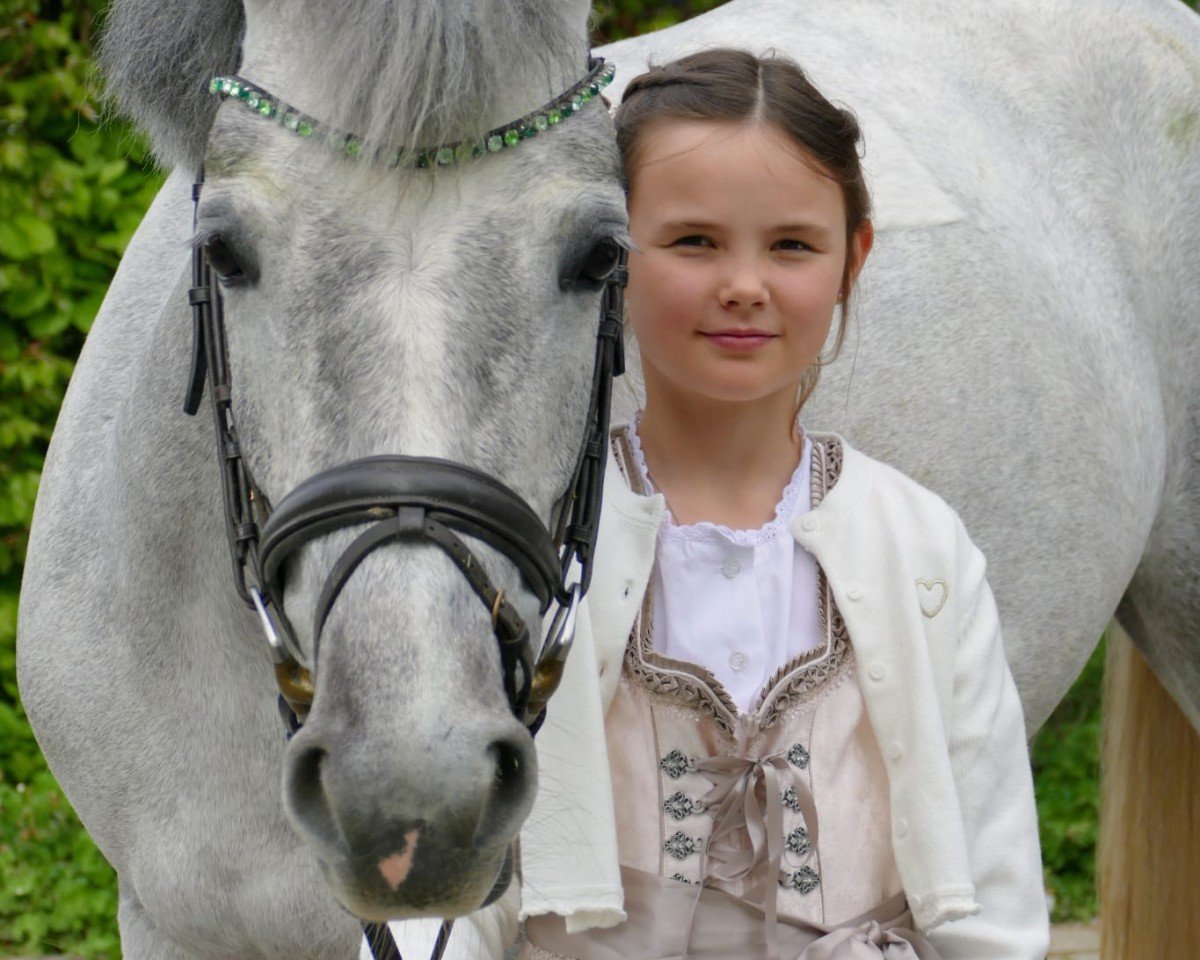 Springpferd Charmanten Blinkfüer SCM (Deutsches Reitpony, 2020, von Dexter Leam Pondi)