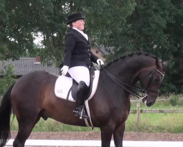 Weser Ems Meisterschaften Cloppenburg 2012