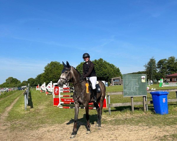 jumper Kazan'z RaKäthe (Zangersheide riding horse, 2020, from Kazan Z)