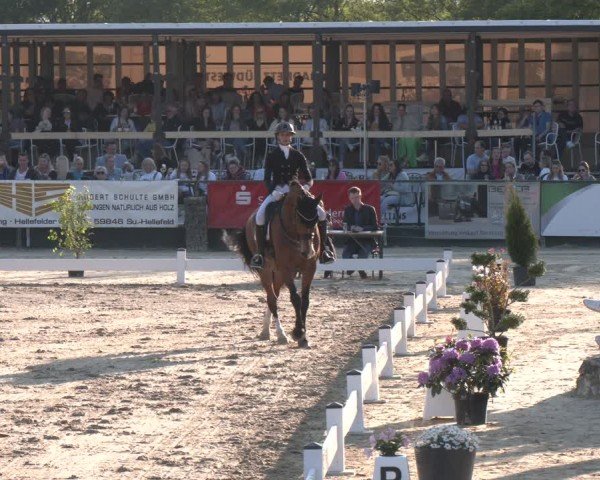 Reitturnier Hellefeld 2024