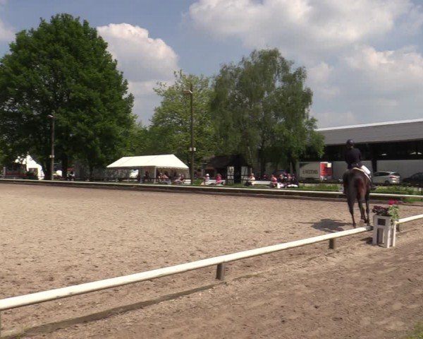 Reitturnier Hamm-Rhynern 2024