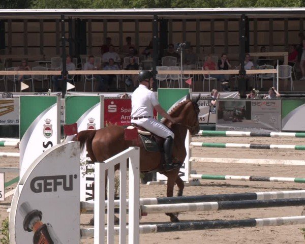 Reitturnier Hellefeld 2024