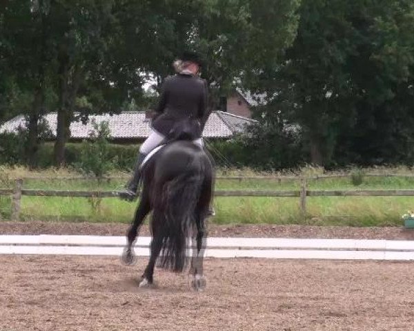 Weser Ems Meisterschaften Cloppenburg 2012