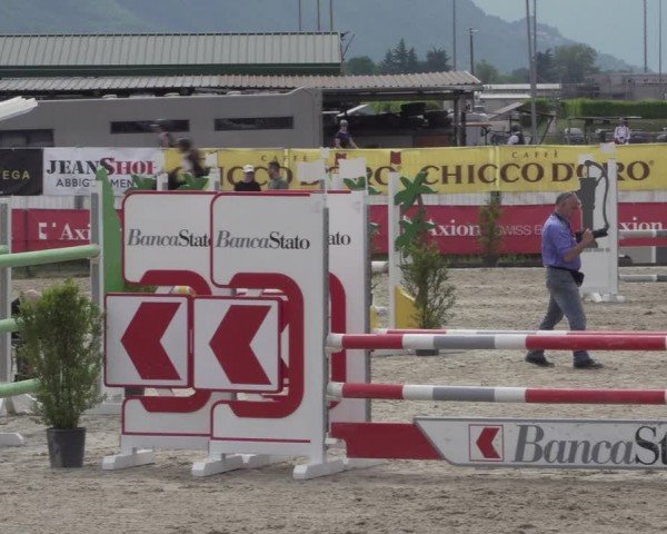Reitturnier Giubiasco 2024