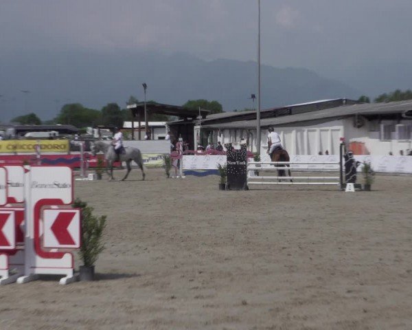 Reitturnier Giubiasco 2024