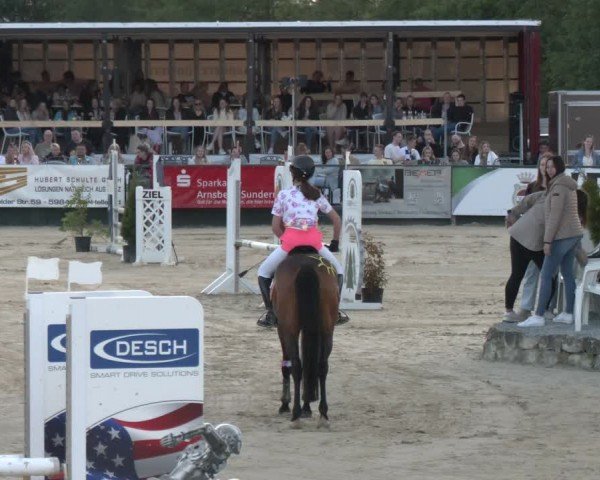 Reitturnier Hellefeld 2024
