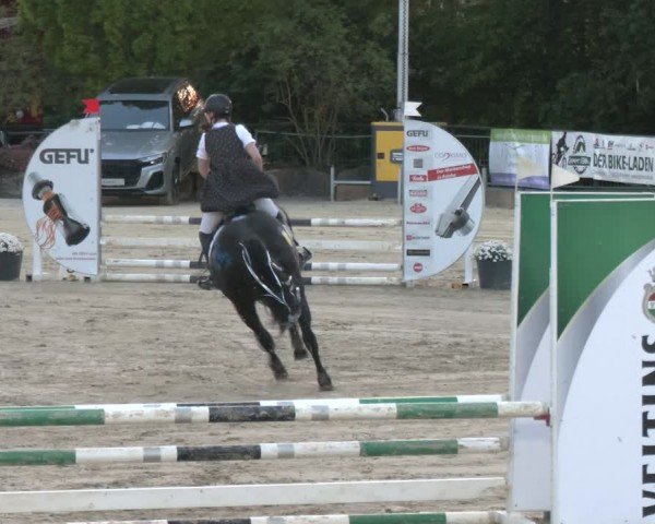 Reitturnier Hellefeld 2024