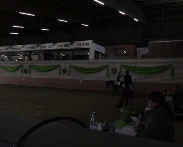 Reitturnier Hellefeld 2024