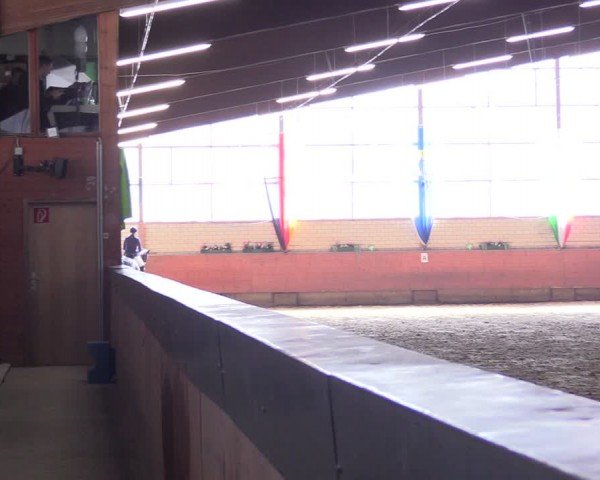 Reitturnier Hellefeld 2024