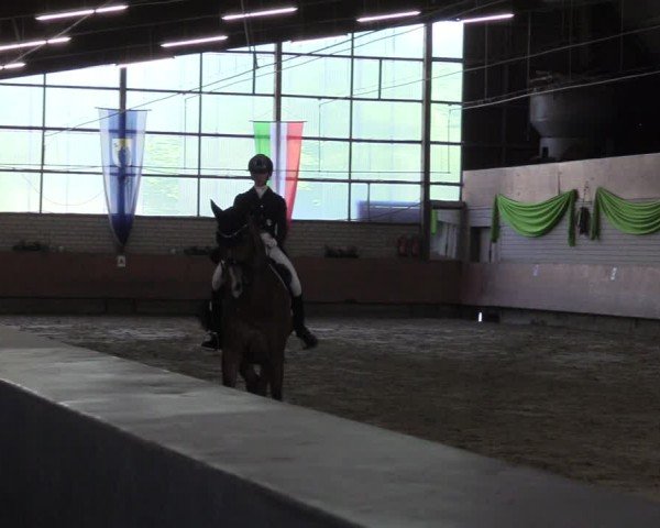 Reitturnier Hellefeld 2024