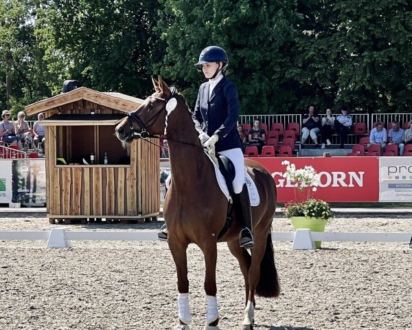 dressage horse La Vie en Rose S (Oldenburg, 2020, from La Vie)