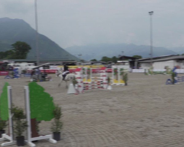 Reitturnier Giubiasco 2024