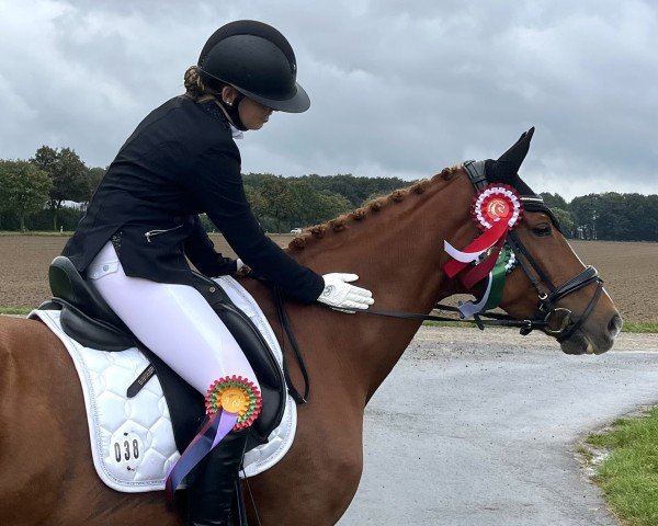 dressage horse Jareina (KWPN (Royal Dutch Sporthorse), 2014, from Charmeur)